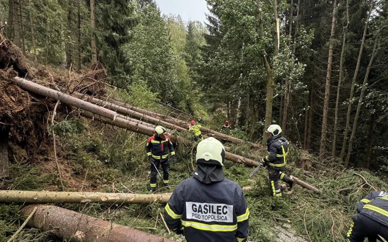 topolšica vetrolom.jpg