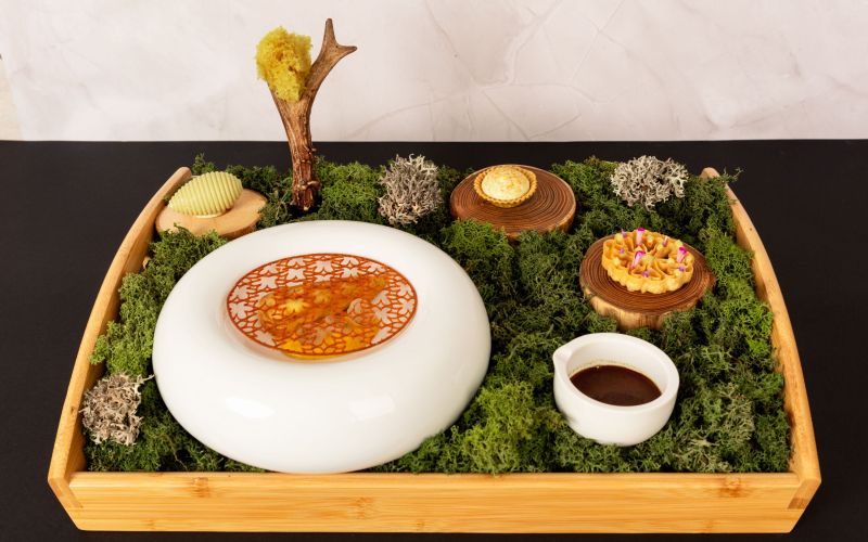 Bostjan_Volk_jelen_in_buca (3).jpg