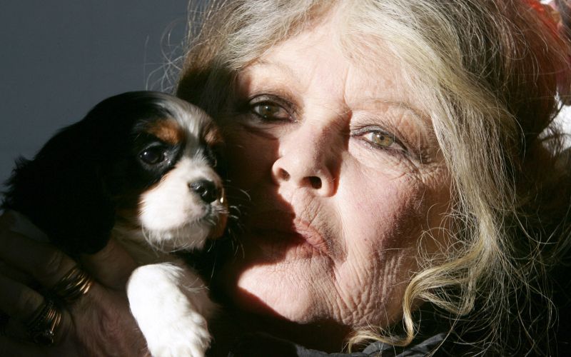 Brigitte Bardot - naslovna