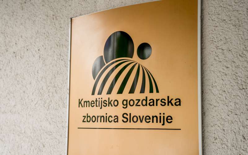 kgzs.jpg