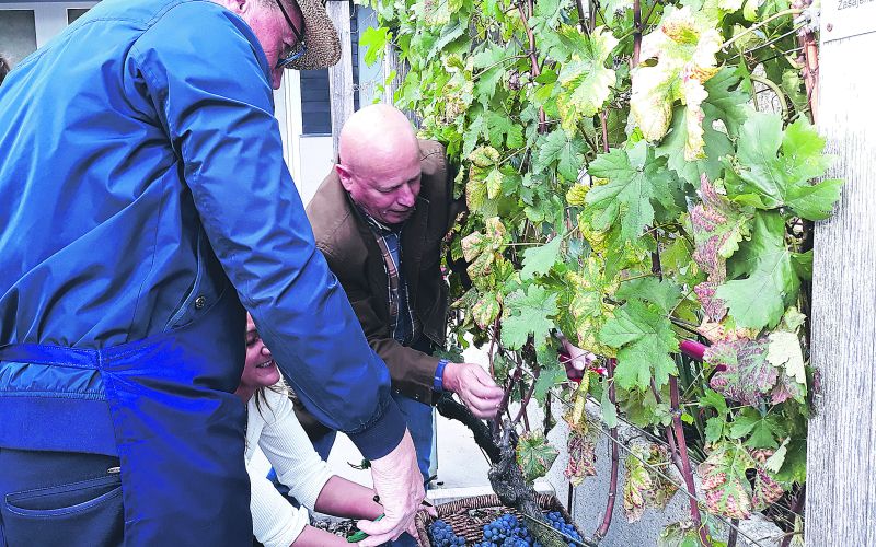 trgatev - kopušar in melanšek.jpg