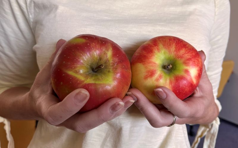 samopregledovanje dojk.jpg