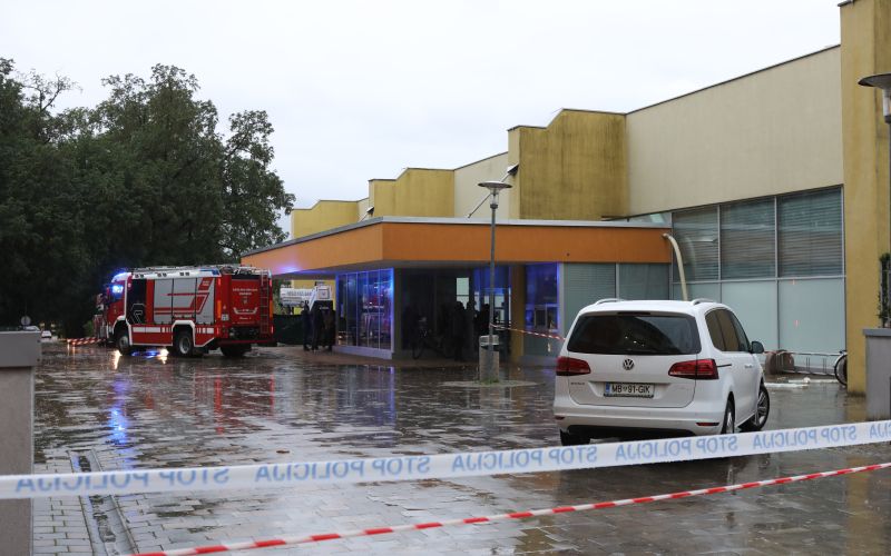 športna dvorana vrbanska, streha