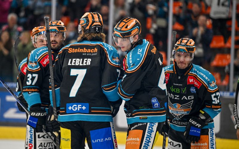 linz 24 ograjenske 24.jpg