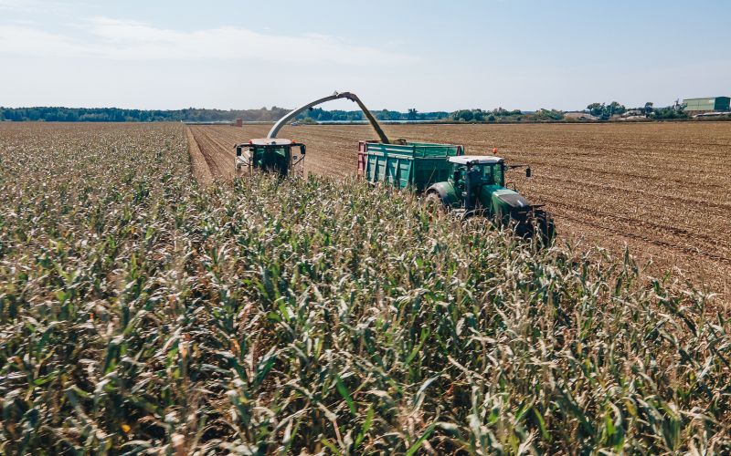 simbolična, žetev, kmetijstvo, dron, traktor, kombanj, polje, koruza