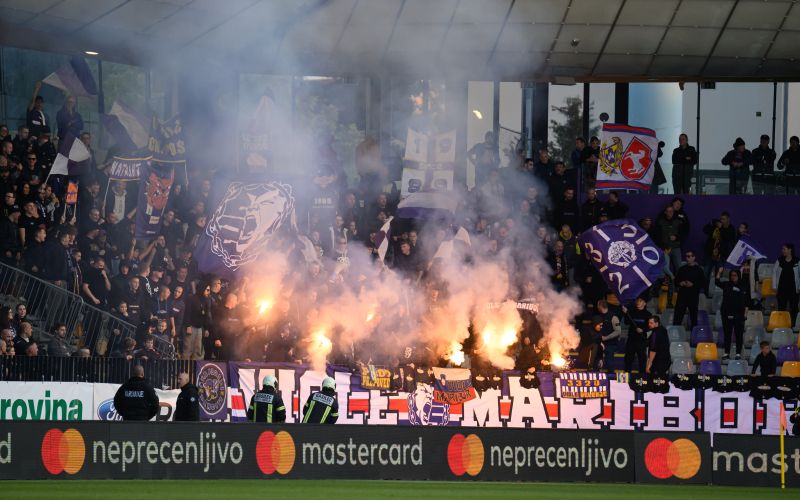 viole.jpg