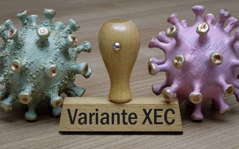covid razlicica xec
