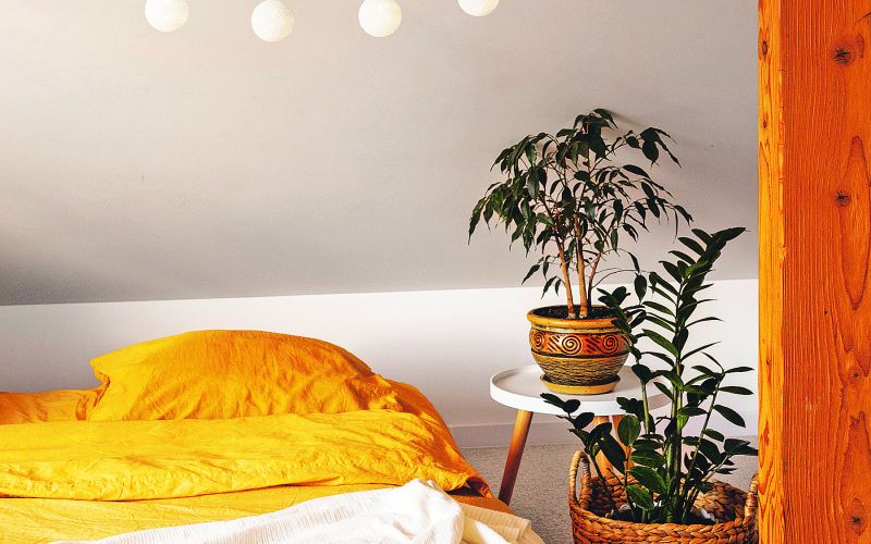 stanovanje bedroom-interior-design-with-plants.jpg