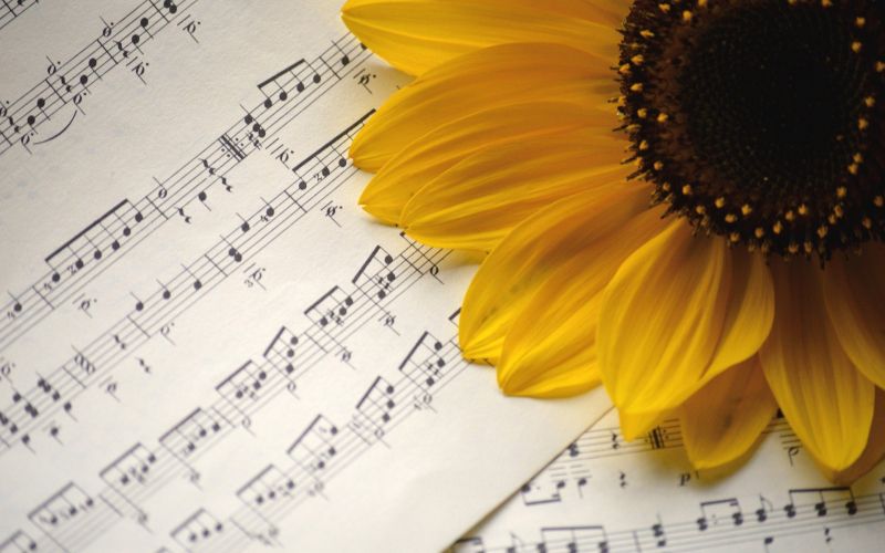 note sunflower-7530639_1920.jpg