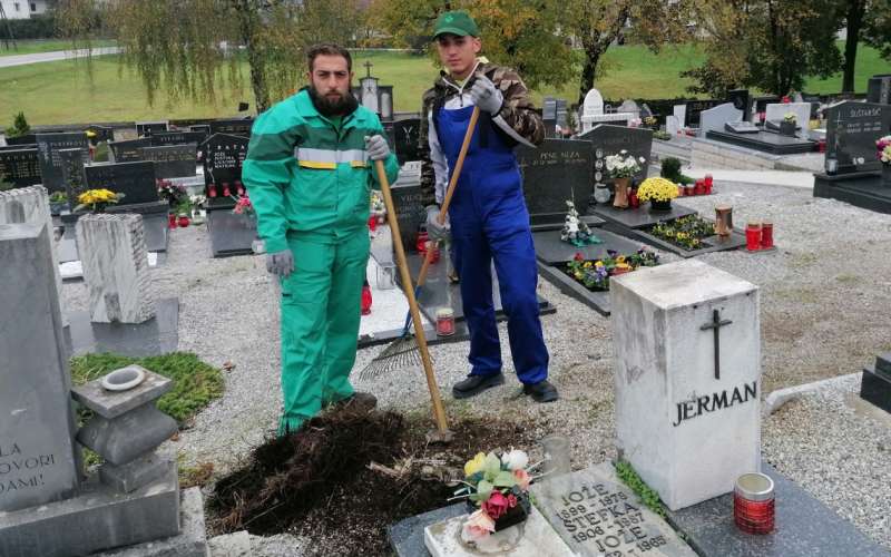 d44_svecedelavca.jpg