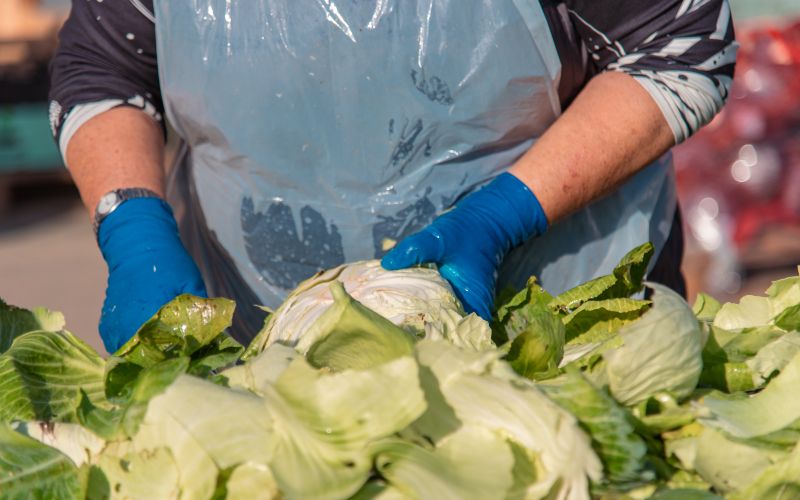 kisanje-zelja-majer-šinko, skakovci