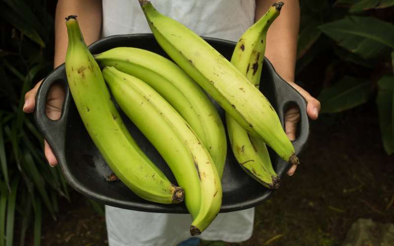 Plantain banana, surova.jpg