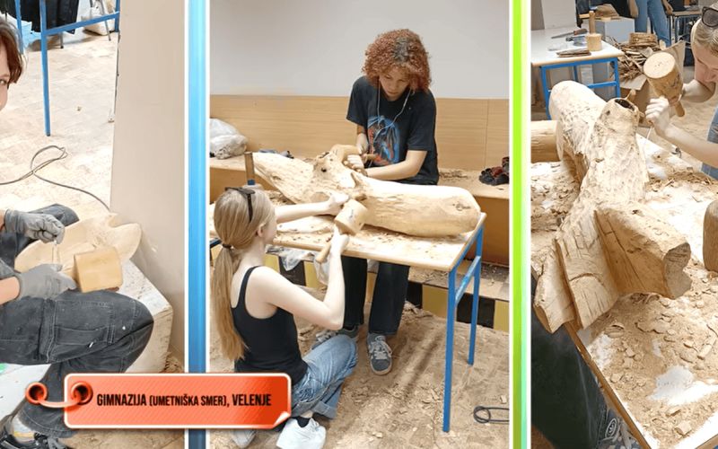 napotnikova kolonija.png