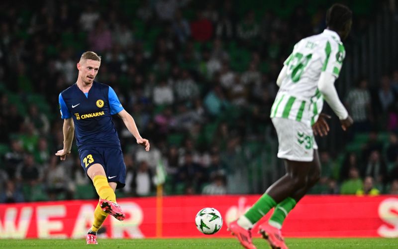 karnicnik betis.jpg