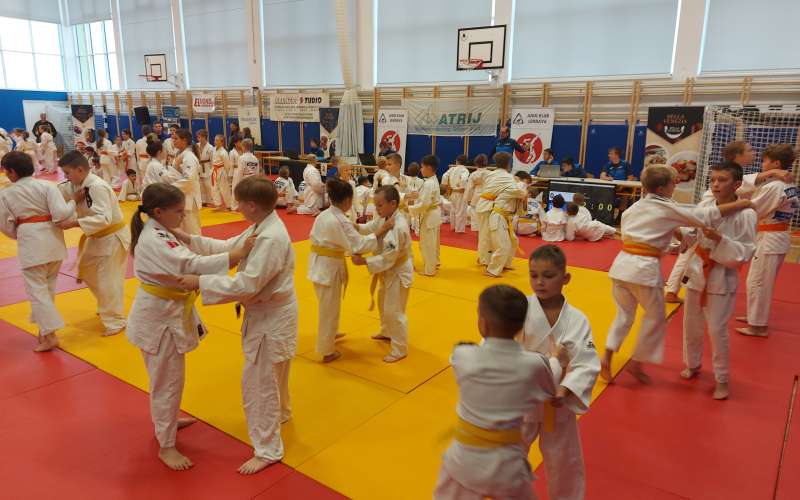 judo, miklavzev-turnir