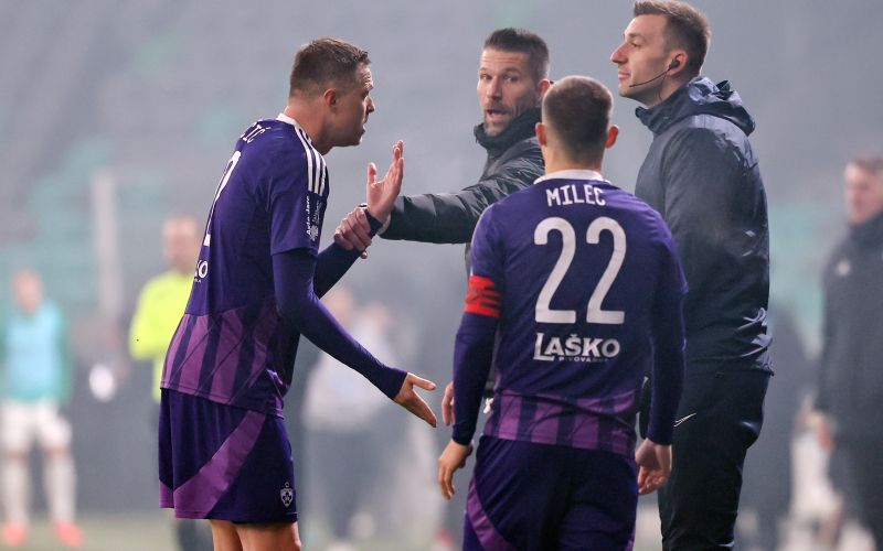 ilicic rdeci karton.jpg