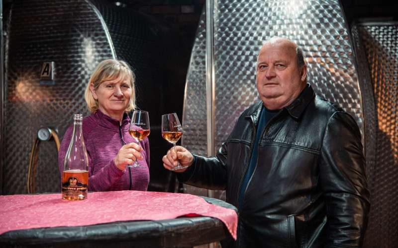 vinogradništvo-kolarič, penina-kolarič, vina