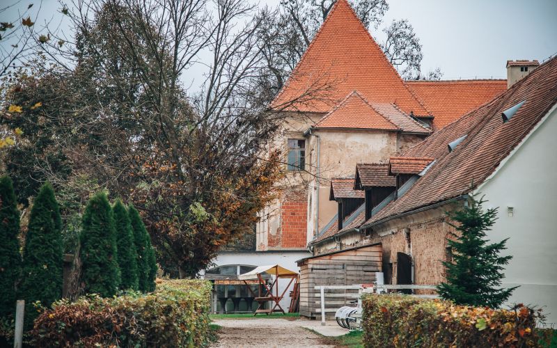 ris-dvorec-rakičan, grad, simbolična