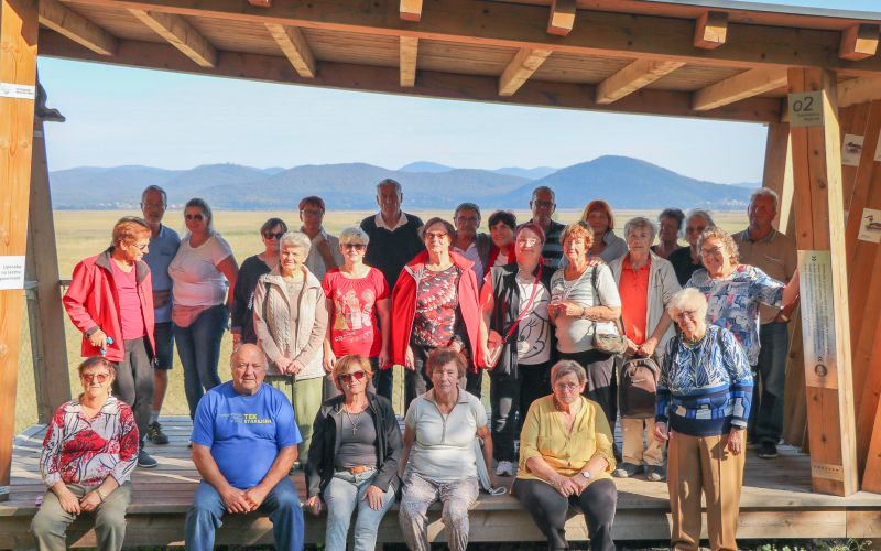 Društvo diabetikov.jpg