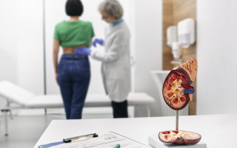 ledvice, bolezni ledvic, zdravljenje