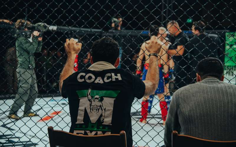 vfn-vikings, ljutomer, mma, borilne-veščine, kletka