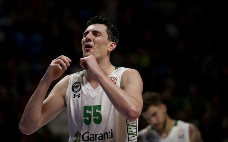 emir preldzic