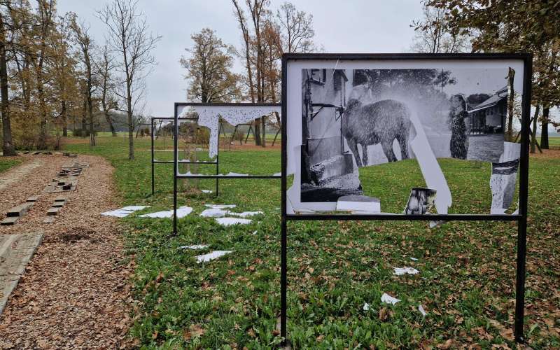 vandalizem, razstava, park-dozivetij, boreci, obcina-krizevci