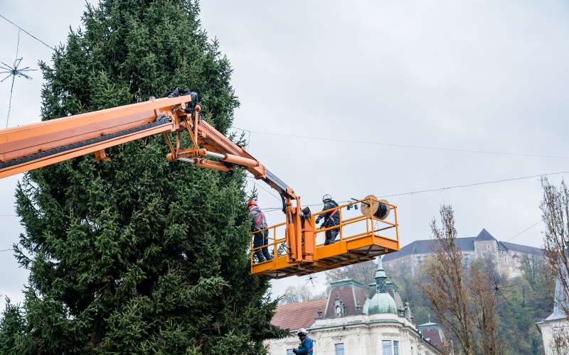 lucke, smreka, presernov-trg