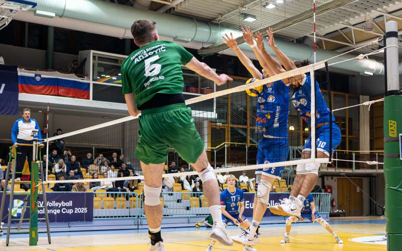panvita-pomgrad, akaa-volley, cev