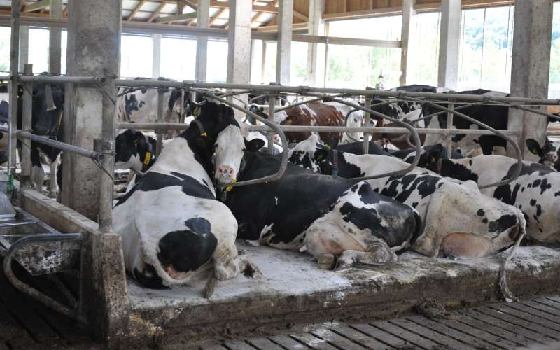 mv-biovarstveni načrt 2.JPG