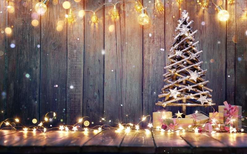 novoletna jelka, les