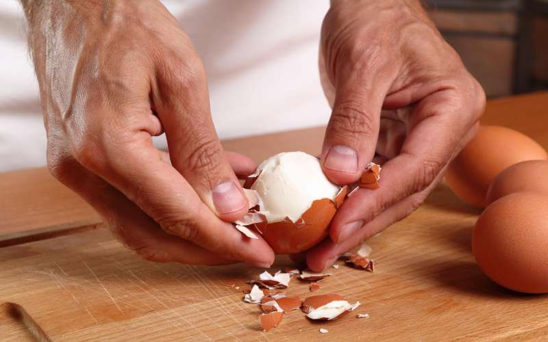 jajčne lupine, jajca