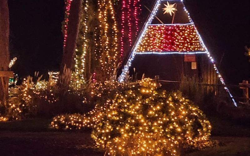 v-mozirski-gaj-se-vraca-bozicna-bajka