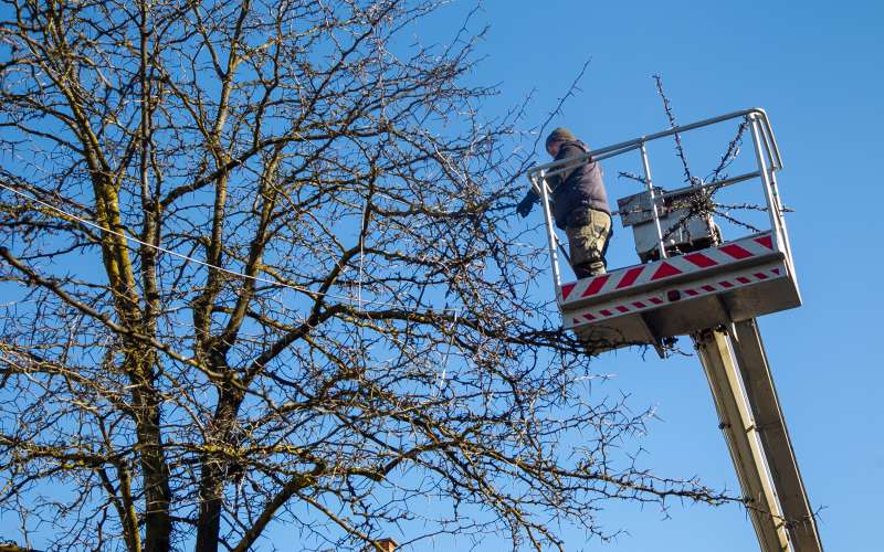 okraševanje, ljubljana