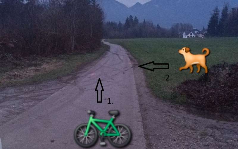 kokrica-naklo, kolesarka, pes.jpg