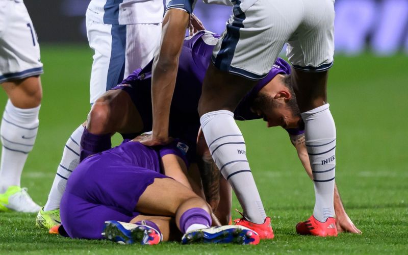 bove fiorentina.jpg