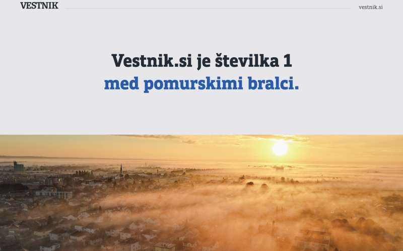 statistika, statistični, vestnik.si, splet, analiza
