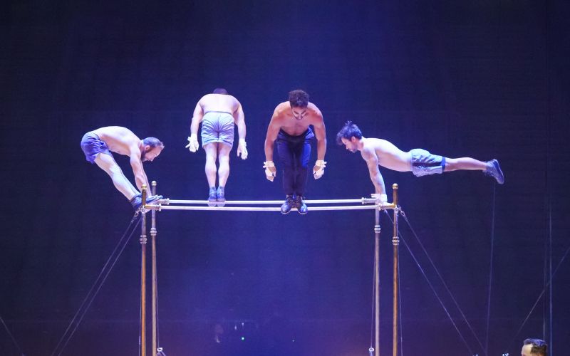 Cirque du Soleil