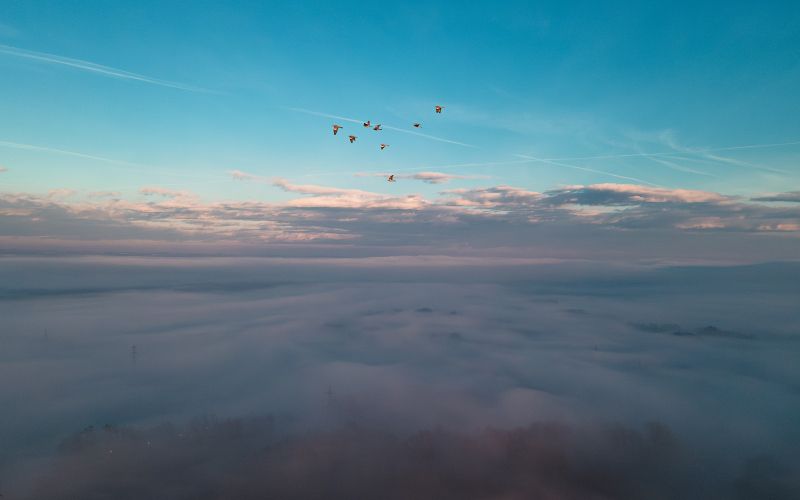 simbolična, nebo, megla, dron, murska-sobota, sončni-zahod, sonce, oblaki, ptiči, ptice