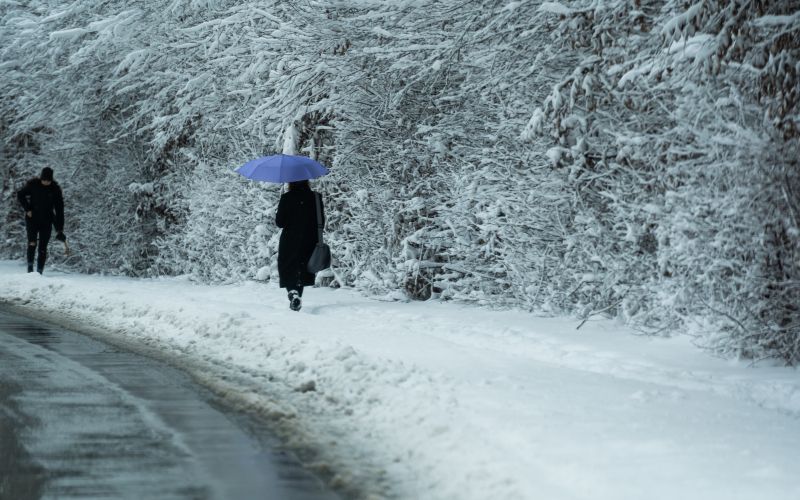 sneg zasnežena pot dežnik