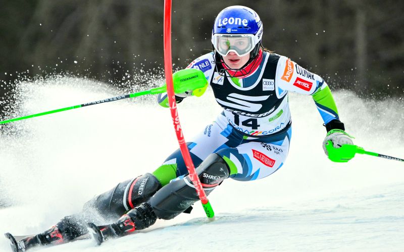 andreja slokar