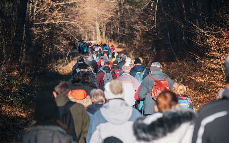 pohod-budinci, pohod-trej-kralof-na-pouti-po-dolaj-pa-bregaj