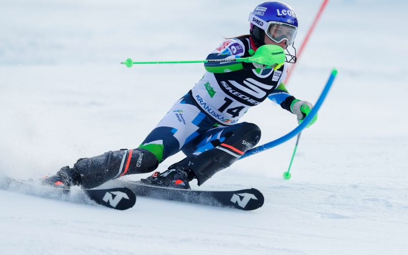 andreja slokar.jpg