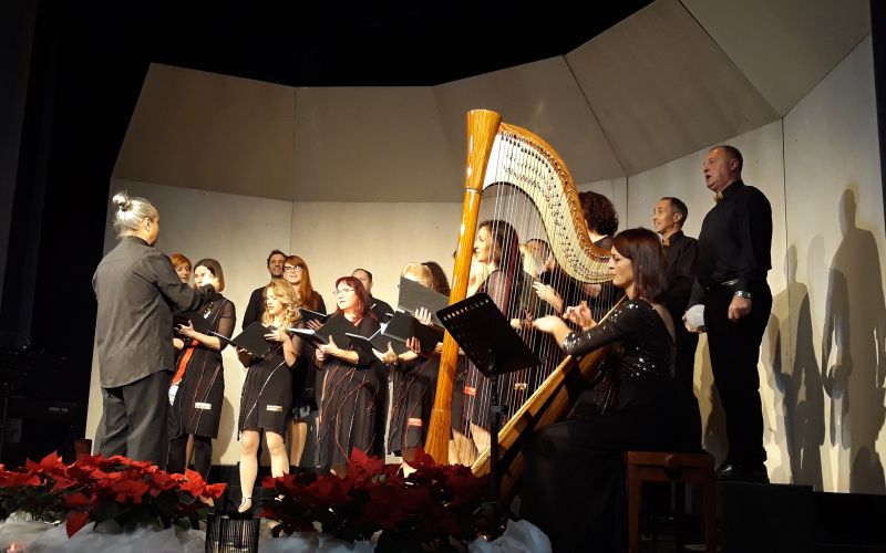 proslava ob dnevu samostojnosti.jpg