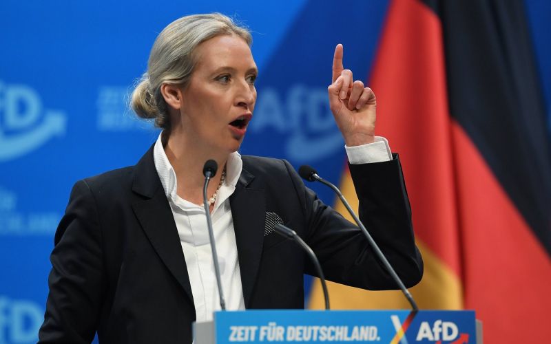alice-weidel.jpg