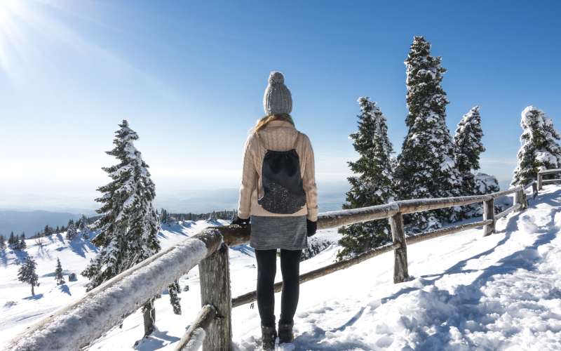 Velika planina