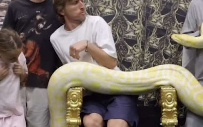 modric.jpg
