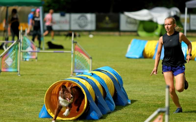 1720090275_cg_agility_2.jpg