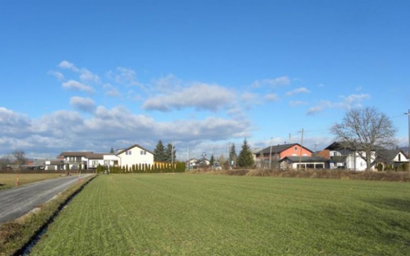 1579772320_kg-starse.jpg