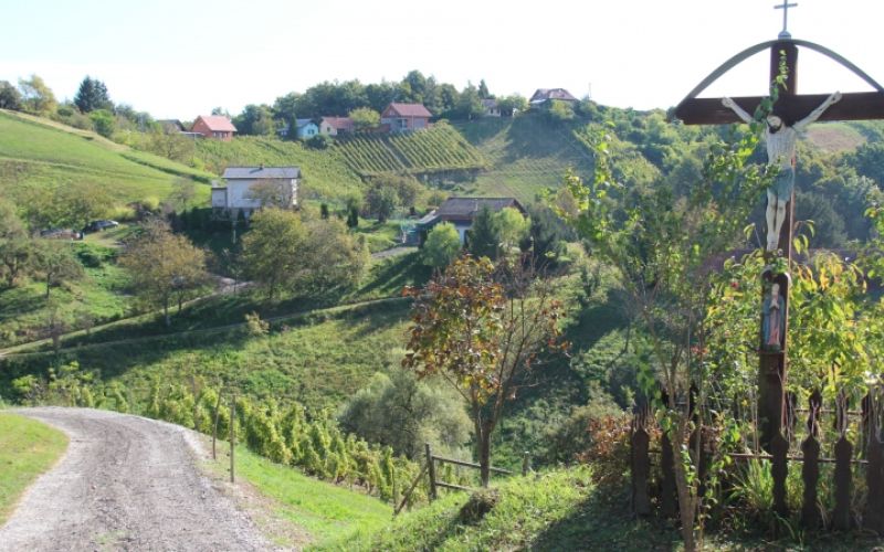 1622730401_mz_cirkulane_ceste.jpg